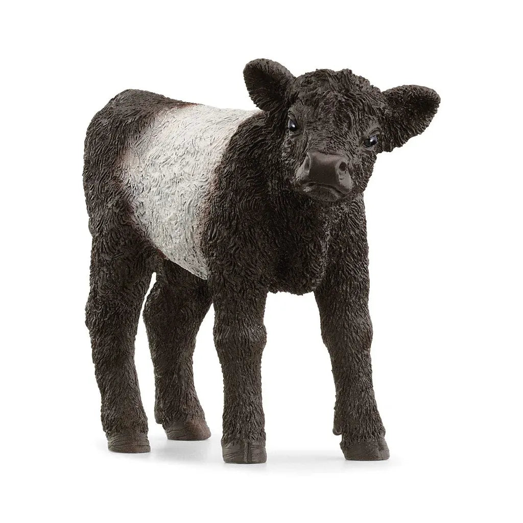 Schleich Farm World Galloway Calf Toy Figure