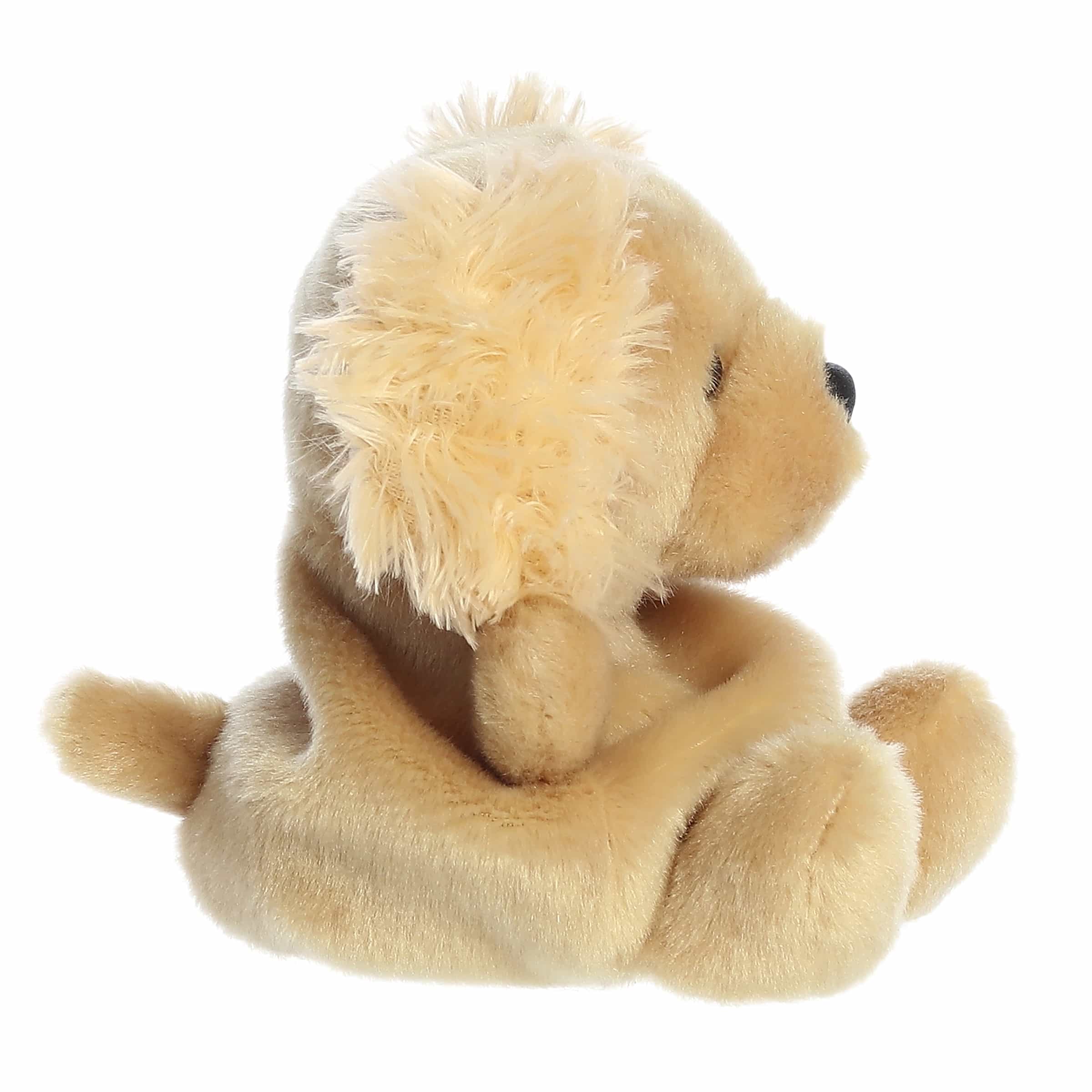 Palm Pals 5 Inch Oatmeal the Goldendoodle Plush Toy
