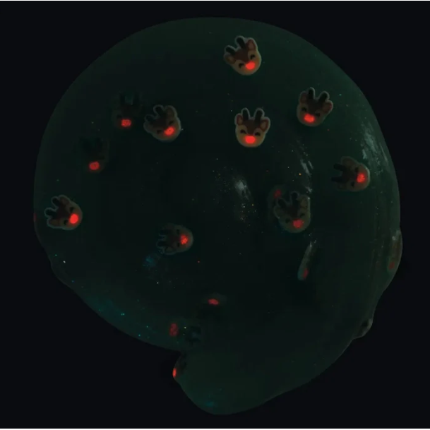 Crazy Aarons Reindeer Games Mini 2 Inch Holiday Thinking Putty Tin