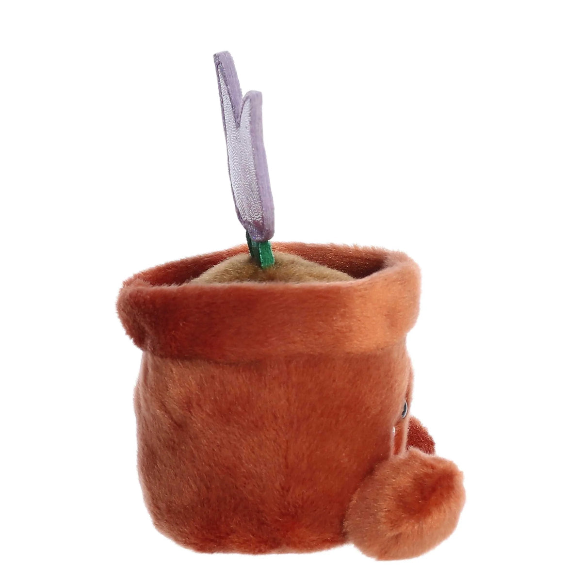 orange cat palm pal Palm Pals Holland Potted Tulip