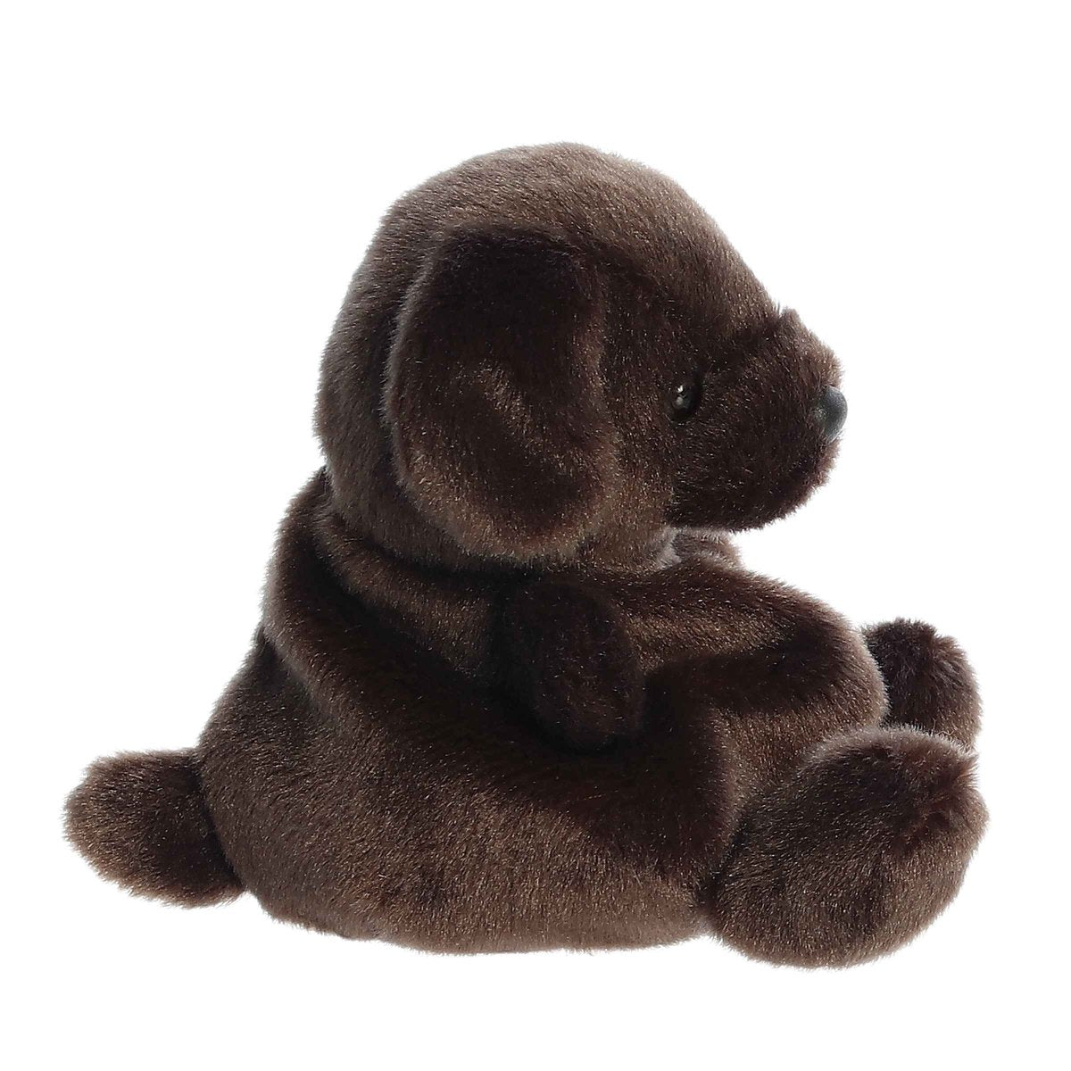 Chocolate lab teddy on sale