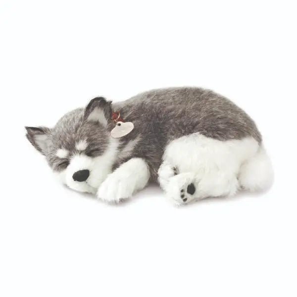 Perfect Petzzz 9.5 Inch Original Alaskan Husky - Owl & Goose Gifts