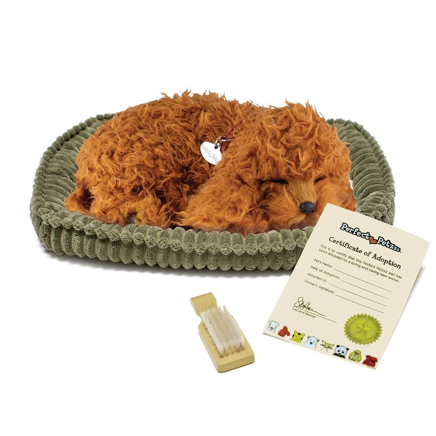 Perfect Petzzz 9.5 Inch Original Toy Poodle - Owl & Goose Gifts