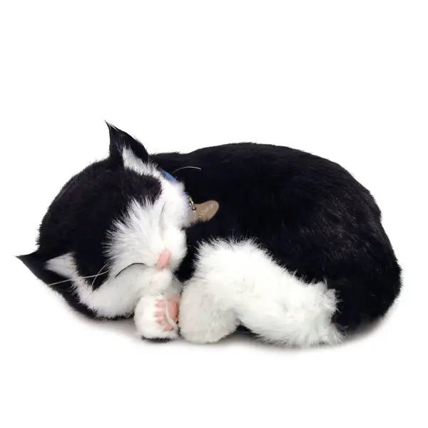 Perfect Petzzz 9.5 Inch Original Black & White Shorthair Kitten - Owl & Goose Gifts