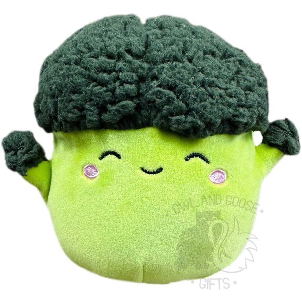 Squishmallow 5 Inch Nash the Broccoli Plush Toy - Owl & Goose Gifts
